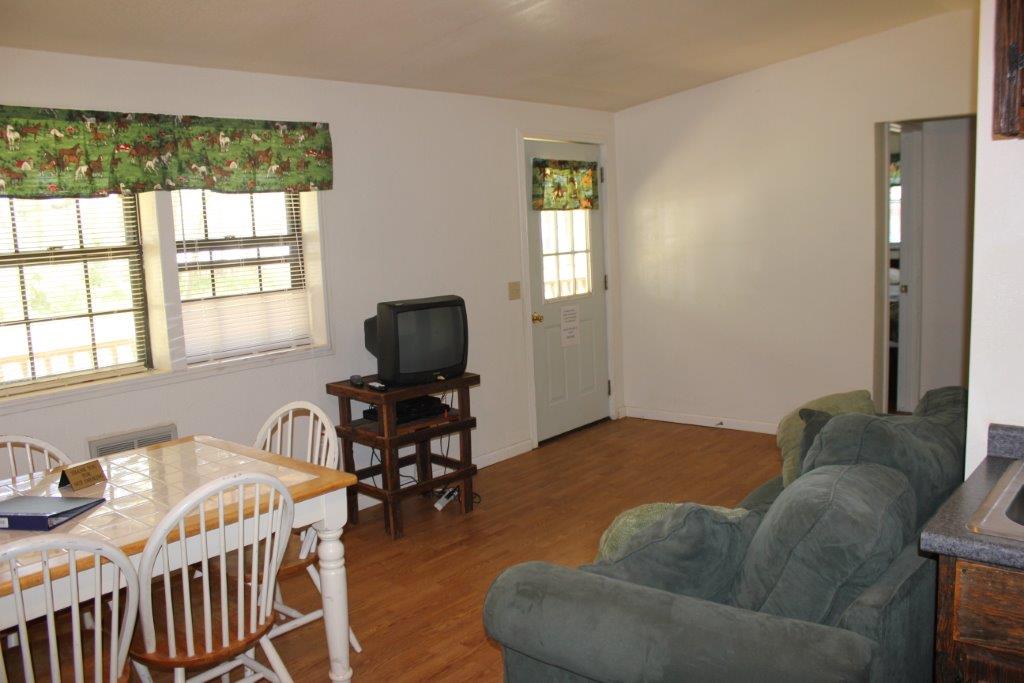 Horseshoe Holler cabin 8 living area